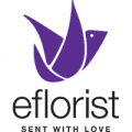 EFlorist - UK