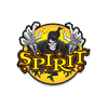 Spirit Halloween Discount Codes